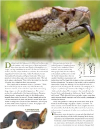 Cottonmouth, Most People Think That the Caduceus Caduceus