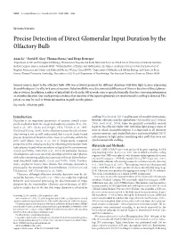 Precise Detection of Direct Glomerular Input Duration by the Olfactory Bulb