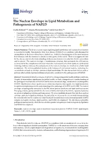 The Nuclear Envelope in Lipid Metabolism and Pathogenesis of NAFLD