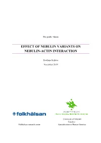 Effect of Nebulin Variants on Nebulin-Actin Interaction