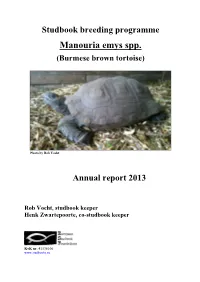 Manouria Emys Spp