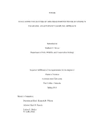 Thesis Evaluating the Success of Arkansas