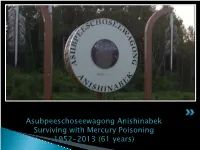 Asubpeeschoseewagong Anishinabek Surviving with Mercury