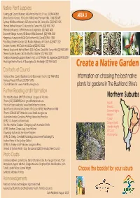 Create a Native Garden