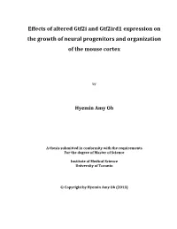 Effects of Altered Gtf2i and Gtf2ird1 Expression on the Growth of Neural Progenitors and Organization of the Mouse Cortex