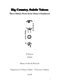 Minzu in China Are Inciting a Challenge to the Traditional Conceptions of Chineseness
