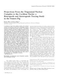 Projections from the Trigeminal Nuclear Complex to the Cochlear Nuclei: a Retrograde and Anterograde Tracing Study in the Guinea Pig