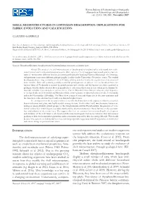 Shell Microstructures in Lopingian Brachiopods: Implications for Fabric Evolution and Calcification