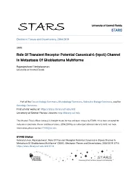 Trpc6) Channel in Metastasis of Glioblastoma Multiforme