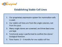 Establishing Stable Cell Lines