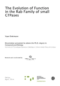 The Evolution of Function in the Rab Family of Small Gtpases