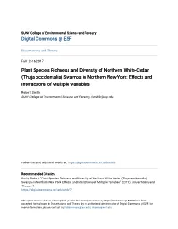 Thuja Occidentalis) Swamps in Northern New York: Effects and Interactions of Multiple Variables