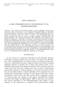 A New Interpretation of Astrorhizae in the Stromatoporoidea