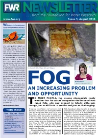 An Increasing Problem and Opportunity