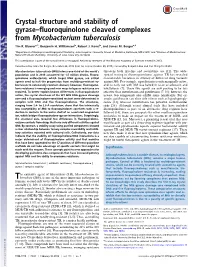 Crystal Structure and Stability of Gyrase–Fluoroquinolone Cleaved Complexes from Mycobacterium Tuberculosis