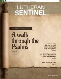 The Good Shepherd Sends Shepherds Life Without End the Bible's