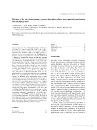 Revision of the Stick Insect Genus Leptynia: Description of New Taxa, Speciation Mechanism and Phylogeography