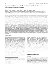 Cryoelectron Microscopy of a Nucleating Model Bile in Vitreous Ice: Formation of Primordial Vesicles