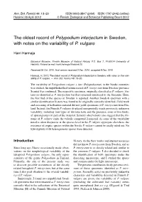 Polypodium Interjectum in Sweden, with Notes on the Variability of P