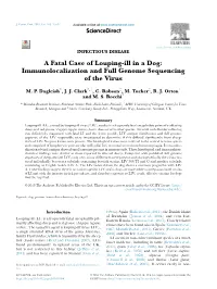 A Fatal Case of Louping-Ill in a Dog: Immunolocalization and Full Genome Sequencing of the Virus