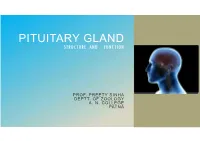 Pituitary Gland Structure and Function