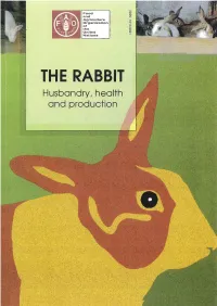 The Rabbit: Husbandry, Health and Production (New Revised Version) ISBN 92-5-103441-9