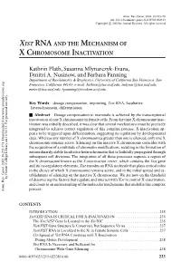 XIST RNA and the Mechanism of X Chromosome Inactivation, Kathrin Plath, Susanna Mlynarczyk-Evans, Dmitri A