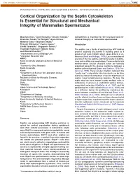Cortical Organization by the Septin Cytoskeleton Is Essential for Structural and Mechanical Integrity of Mammalian Spermatozoa