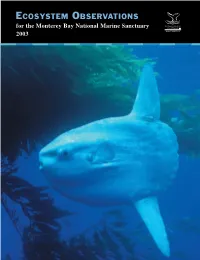 MBNMS Ecosystem Observations 2003