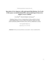 Speciation of Two Stingrays with Antitropical Distributions: Low Levels of Divergence in Mitochondrial DNA and Morphological Characters Suggest Recent Evolution
