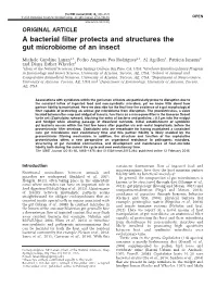 A Bacterial Filter Protects and Structures the Gut Microbiome of an Insect