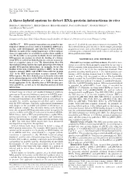A Three-Hybrid System to Detect RNA–Protein Interactions in Vivo