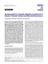 Apolipoprotein E in Synaptic Plasticity and Alzheimer’S Disease: Potential Cellular and Molecular Mechanisms