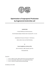 Optimization of Isopropanol Production by Engineered Escherichia Coli