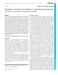 Regulation of Cdc42 and Its Effectors in Epithelial Morphogenesis Franck Pichaud1,2,*, Rhian F