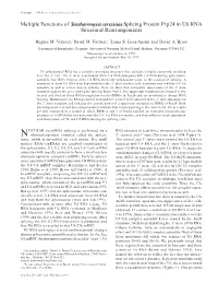Multiple Functions of Saccharomyces Cerevisiae Splicing Protein Prp24 in U6 RNA Structural Rearrangements