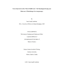 Uncovering Secrets of the "Fish of 10,000 Casts": the Physiological Ecology And