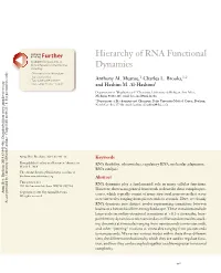 Hierarchy of RNA Functional Dynamics