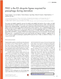 PEX2 Is the E3 Ubiquitin Ligase Required for Pexophagy During Starvation