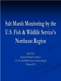 Salt Marsh Monitoring by The