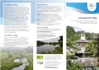 Hampermill Circular Walk (005)