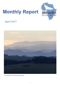 Monthly Report