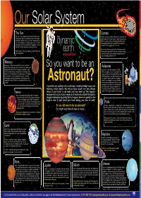 The Planets in Our Comets Are Just Big Chunks of Dirty Ice That Come from the Solar System Orbit