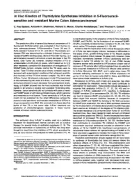 In Vivo Kinetics of Thymidylate Synthetase Inhibition in 5-Fluorouracil- Sensitive and -Resistant Murine Colon Adenocarcinomas1