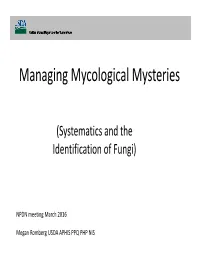 Managing Mycological Mysteries