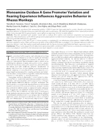 Monoamine Oxidase a Gene Promoter Variation and Rearing Experience Inﬂuences Aggressive Behavior in Rhesus Monkeys Timothy K