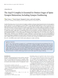 The Arp2/3 Complex Is Essential for Distinct Stages of Spine Synapse Maturation, Including Synapse Unsilencing