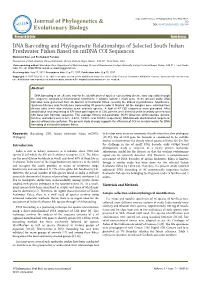DNA Barcoding and Phylogenetic Relationships of Selected South