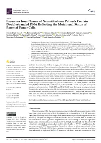 Exosomes from Plasma of Neuroblastoma Patients Contain Doublestranded DNA Reﬂecting the Mutational Status of Parental Tumor Cells