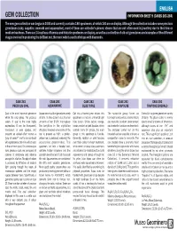 GEM COLLECTION INFORMATION SHEET 9 (CASES 283-284) the New Gem Collection Was Begun in 2003 and Currently Contains 180 Specimens, of Which 160 Are on Display